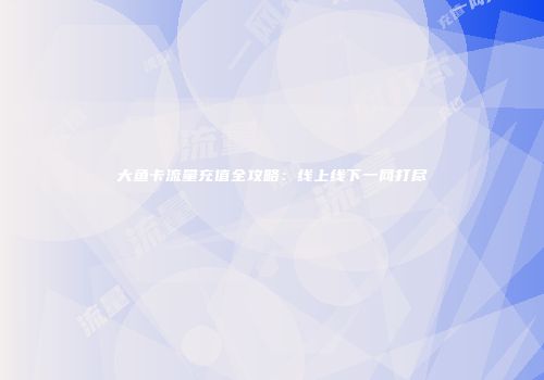 大鱼卡流量充值全攻略:线上线下一网打尽
