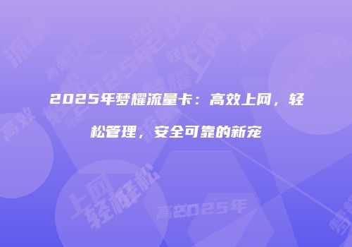 2025年梦耀流量卡:高效上网,轻松管理,安全可靠的新宠
