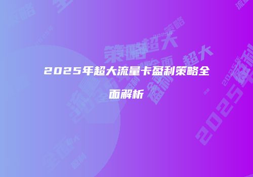 2025年超大流量卡盈利策略全面解析