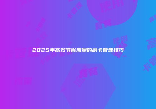 2025年高效节省流量的副卡管理技巧