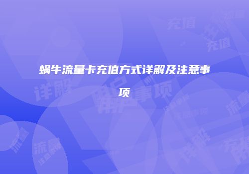 蜗牛流量卡充值方式详解及注意事项