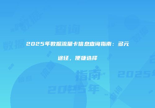 2025年数据流量卡信息查询指南：多元途径，便捷选择