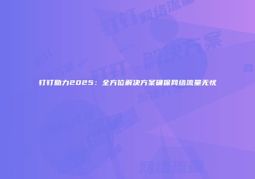 钉钉助力2025：全方位解决方案确保网络流量无忧