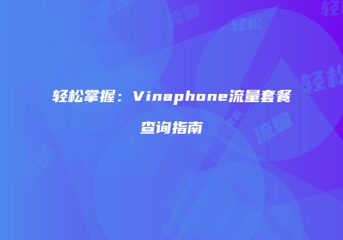 轻松掌握：Vinaphone流量套餐查询指南