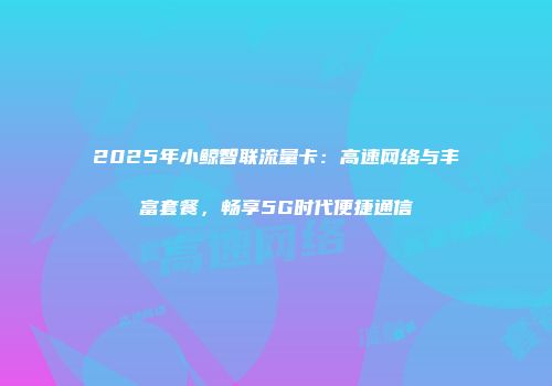 2025年小鲸智联流量卡：高速网络与丰富套餐，畅享5G时代便捷通信