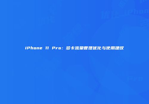 iPhone 11 Pro：多卡流量管理优化与使用建议