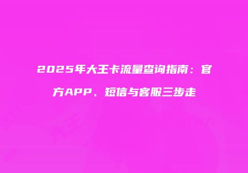 2025年大王卡流量查询指南：官方APP、短信与客服三步走