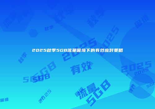 2025秋季5GB流量困境下的有效应对策略
