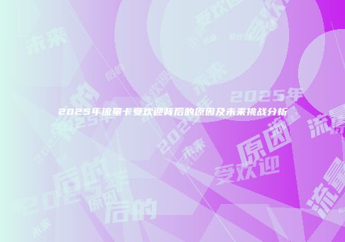 2025年流量卡受欢迎背后的原因及未来挑战分析