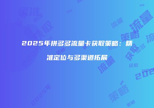 2025年拼多多流量卡获取策略:精准定位与多渠道拓展
