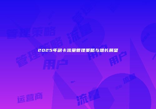 2025年副卡流量管理策略与增长展望