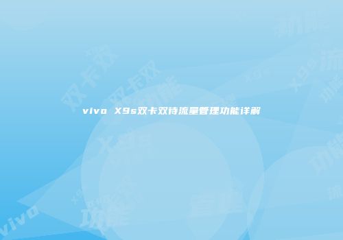 vivo X9s双卡双待流量管理功能详解