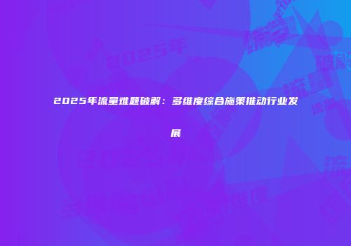 2025年流量难题破解:多维度综合施策推动行业发展