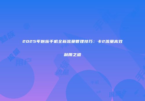 2025年魅族手机全新流量管理技巧：卡2流量高效利用之道