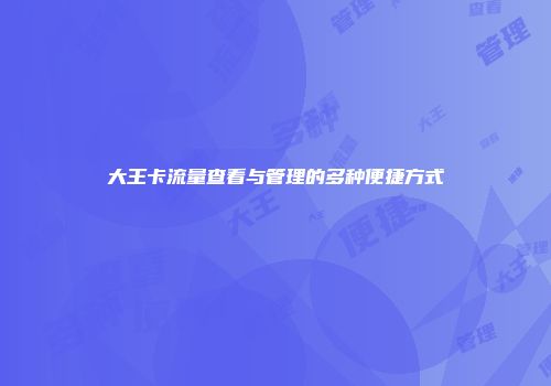 大王卡流量查看与管理的多种便捷方式
