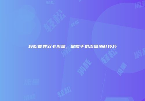 轻松管理双卡流量,掌握手机流量消耗技巧