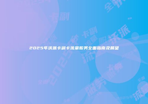 2025年沃派卡副卡流量服务全面指南及展望