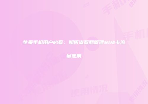 苹果手机用户必看:如何查看和管理SIM卡流量使用