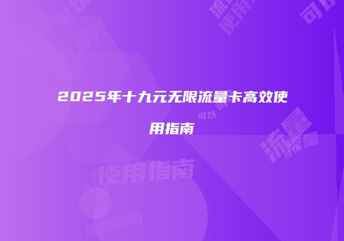 2025年十九元无限流量卡高效使用指南