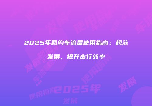 2025年网约车流量使用指南：规范发展，提升出行效率