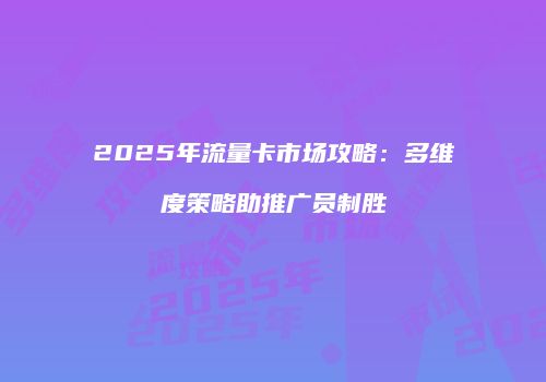 2025年流量卡市场攻略：多维度策略助推广员制胜