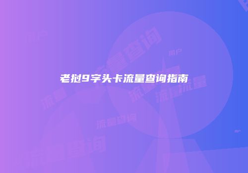 老挝9字头卡流量查询指南