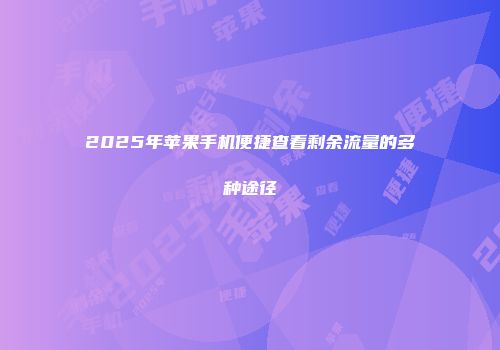 2025年苹果手机便捷查看剩余流量的多种途径