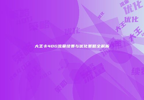 大王卡40G流量续费与优化策略全解析
