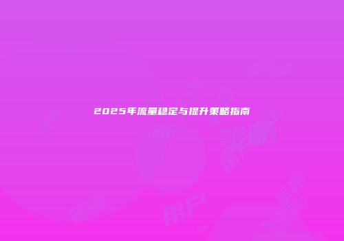 2025年流量稳定与提升策略指南
