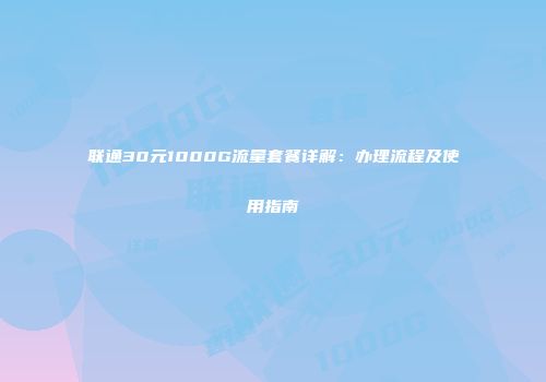 联通30元1000G流量套餐详解：办理流程及使用指南