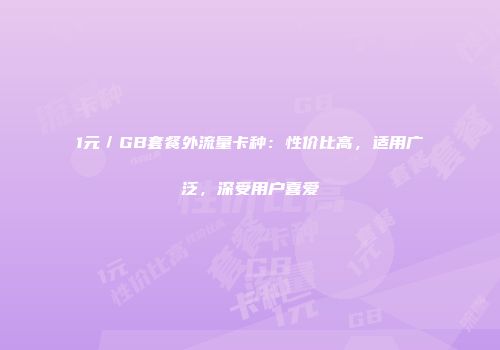 1元／GB套餐外流量卡种：性价比高，适用广泛，深受用户喜爱