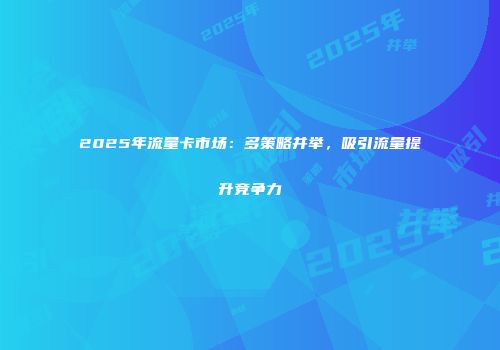 2025年流量卡市场:多策略并举,吸引流量提升竞争力