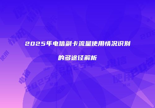 2025年电信副卡流量使用情况识别的多途径解析