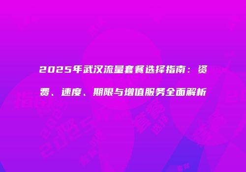 2025年武汉流量套餐选择指南:资费、速度、期限与增值服务全面解析