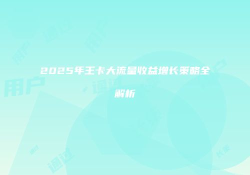 2025年王卡大流量收益增长策略全解析