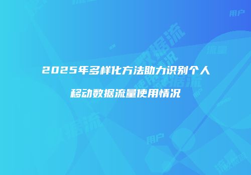 2025年多样化方法助力识别个人移动数据流量使用情况
