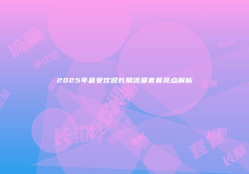 2025年最受欢迎长期流量套餐亮点解析