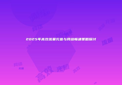 2025年高效流量充值与网络畅通策略探讨