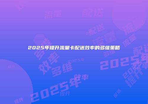 2025年提升流量卡配送效率的多维策略