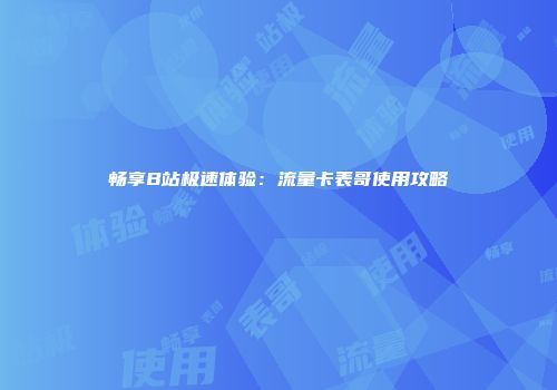 畅享B站极速体验：流量卡表哥使用攻略