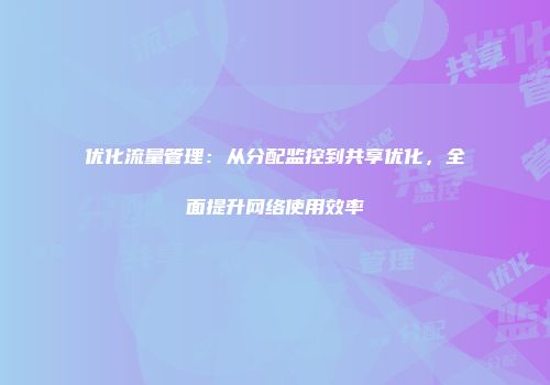 优化流量管理:从分配监控到共享优化,全面提升网络使用效率