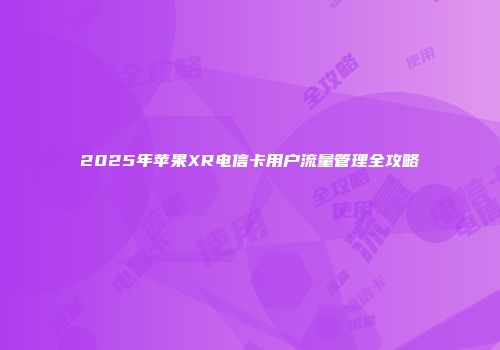 2025年苹果XR电信卡用户流量管理全攻略