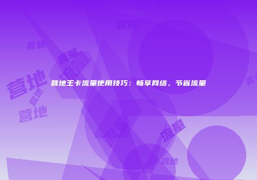 营地王卡流量使用技巧：畅享网络，节省流量