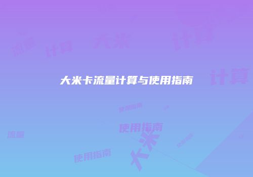 大米卡流量计算与使用指南
