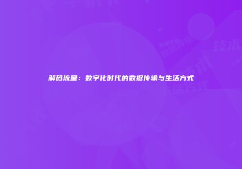 解码流量:数字化时代的数据传输与生活方式