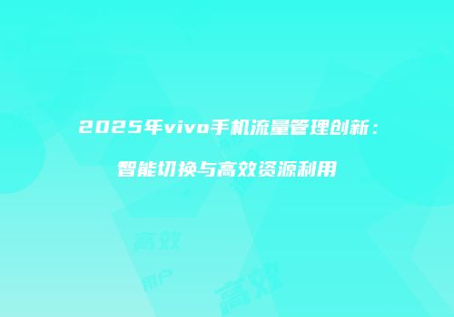 2025年vivo手机流量管理创新:智能切换与高效资源利用