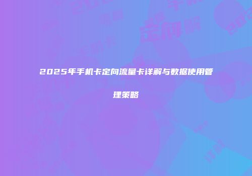 2025年手机卡定向流量卡详解与数据使用管理策略
