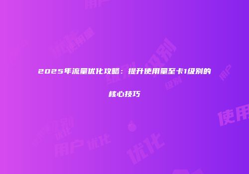 2025年流量优化攻略:提升使用量至卡1级别的核心技巧