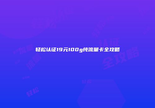 轻松认证19元100g纯流量卡全攻略