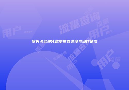 阳光卡多样化流量查询途径与操作指南